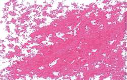 JAXON® | Oil Pastels — individual, Cold pink