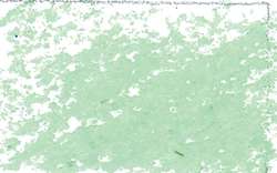 JAXON® | Oil Pastels — individual, Pale green