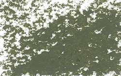 JAXON® | Oil Pastels — individual, Leaf green