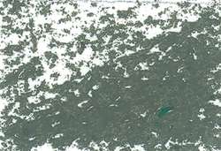 JAXON® | Oil Pastels — individual, Grey green