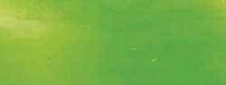 HOBBYRING | Encaustic Wax Crayons — individual, Yellow green