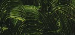 Sap green