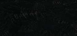 Ivory black