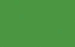 Schmincke | College® LINOL Inks — 75 ml tubes, 75 ml tube, Green