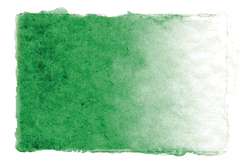 Gerstaecker | Studio Watercolours — whole pans, whole pan, Sap Green