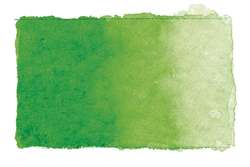 Gerstaecker | Studio Watercolours — whole pans, whole pan, Yellow Green