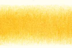 DERWENT | PROCOLOUR coloured pencils — individual, gold