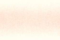 DERWENT | PROCOLOUR coloured pencils — individual, salmon