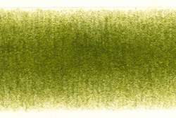 DERWENT | PROCOLOUR coloured pencils — individual, foliage