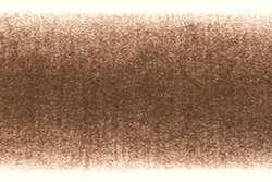 DERWENT | PROCOLOUR coloured pencils — individual, copper beech