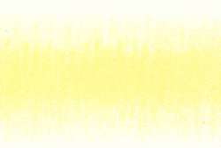 DERWENT | PROCOLOUR coloured pencils — individual, primrose yellow