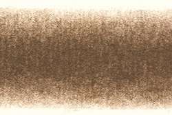 DERWENT | PROCOLOUR coloured pencils — individual, vandyke brown