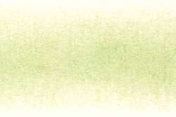 DERWENT | PROCOLOUR coloured pencils — individual, light moss