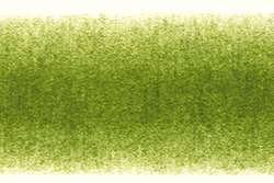 DERWENT | PROCOLOUR coloured pencils — individual, moss green