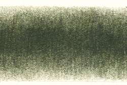 DERWENT | PROCOLOUR coloured pencils — individual, cedar green