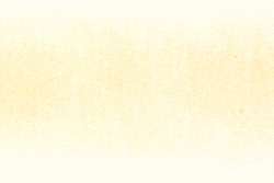 DERWENT | PROCOLOUR coloured pencils — individual, champagne