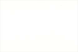 DERWENT | PROCOLOUR coloured pencils — individual, Chinese white