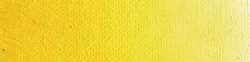 Scheveningen yellow medium