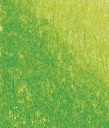 Conté à Paris™ | Pastel Pencils — individual, Light Green