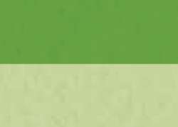 SENNELIER | abstract® Inks — 30 ml bottles, 30 ml, Yellow green