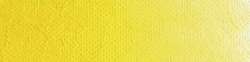 Scheveningen yellow lemon