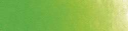 Old Holland yellow-green