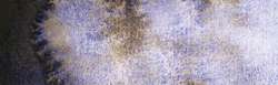 tundra violet