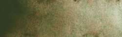 tundra green
