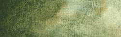 forest brown