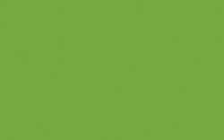 O'color | Acrylic Inks — 60 ml bottles, 60 ml, Spring green