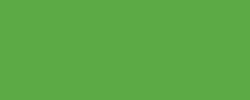 Pentel Arts® | Color Brush pen refills — individual, Light green