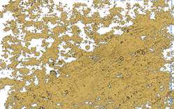 JAXON® | Oil Pastels — individual, Gold