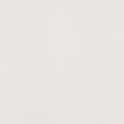 Gamblin 1980 Oil Colours, 37ml tube, Transparent white