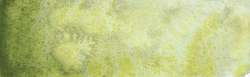 shire olive