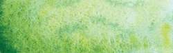 shire green