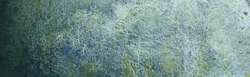shire blue