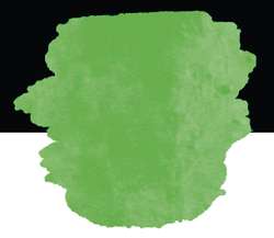 FINETEC | PREMIUM Neon Colours — individual, pan, Neon green