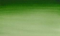 Hooker's green light