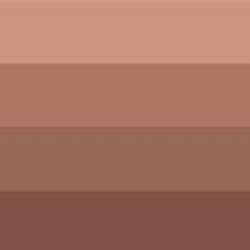 CHARBONNEL | AQUA WASH Etching Inks — individual, 60 ml tube, burnt sienna