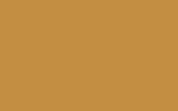 Pilot G2 Retractable Tip Pens, gold