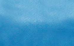 Pilot G2 Retractable Tip Pens, metallic blue