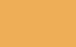 Pilot G2 Retractable Tip Pens, orange