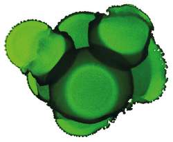 JACQUARD | Piñata COLOR Alcohol Ink — 15ml bottles, 15 ml, Lime green