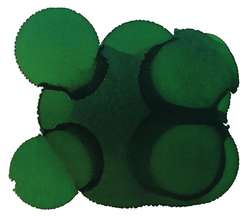 JACQUARD | Piñata COLOR Alcohol Ink — 15ml bottles, 15 ml, Rainforest green