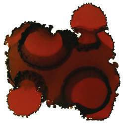 JACQUARD | Piñata COLOR Alcohol Ink — 15ml bottles, 15 ml, Burro brown