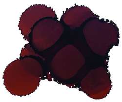 JACQUARD | Piñata COLOR Alcohol Ink — 15ml bottles, 15 ml, Havanna brown
