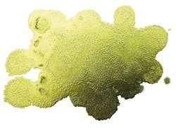 JACQUARD | Piñata COLOR Alcohol Ink — 15ml bottles, 15 ml, Rich gold