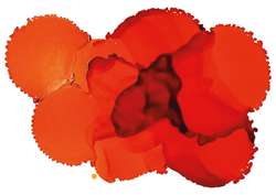 JACQUARD | Piñata COLOR Alcohol Ink — 15ml bottles, 15 ml, Tangerine