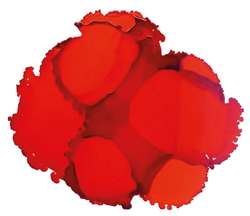 JACQUARD | Piñata COLOR Alcohol Ink — 15ml bottles, 15 ml, Calabaza orange