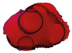 JACQUARD | Piñata COLOR Alcohol Ink — 15ml bottles, 15 ml, Santa Fe red